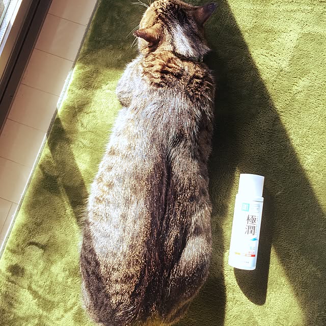 mochitarouさんの実例写真