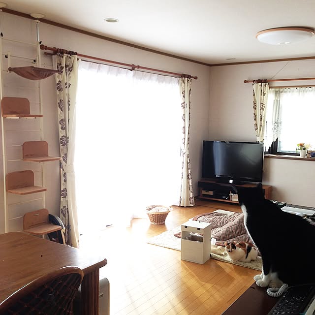 Kinanさんの実例写真