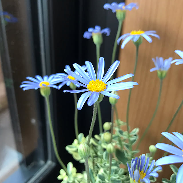 annaさんの実例写真