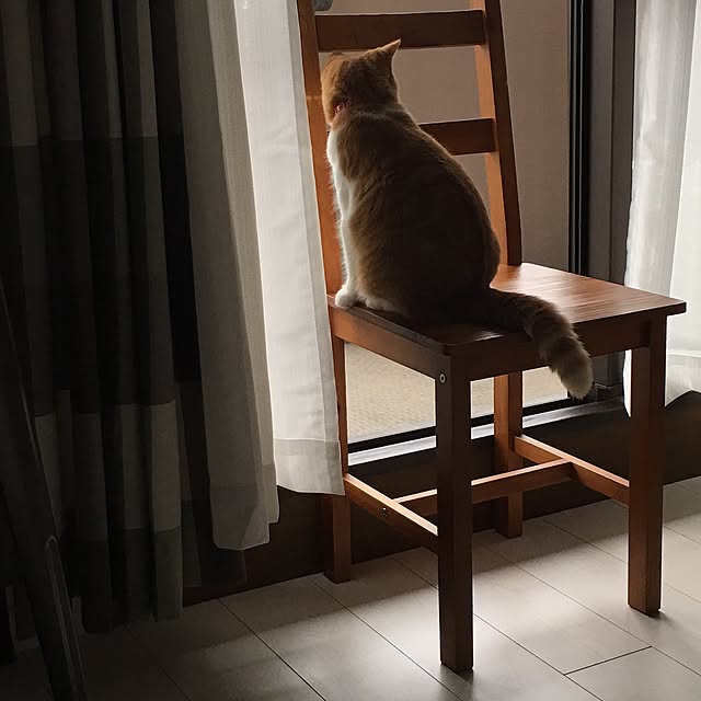 teikon0212さんの実例写真