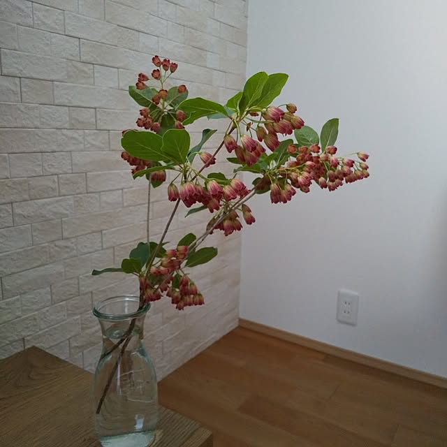 anemone37さんの実例写真
