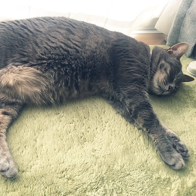 Roby1018さんの実例写真
