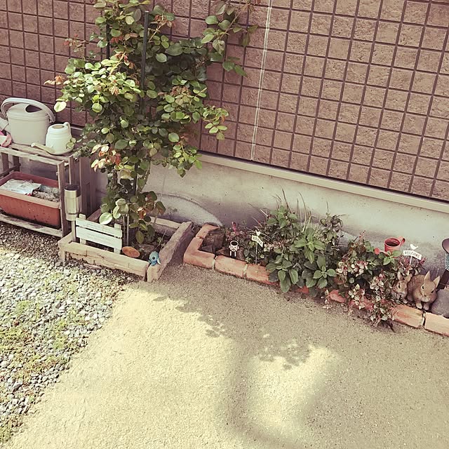 Masamiさんの実例写真
