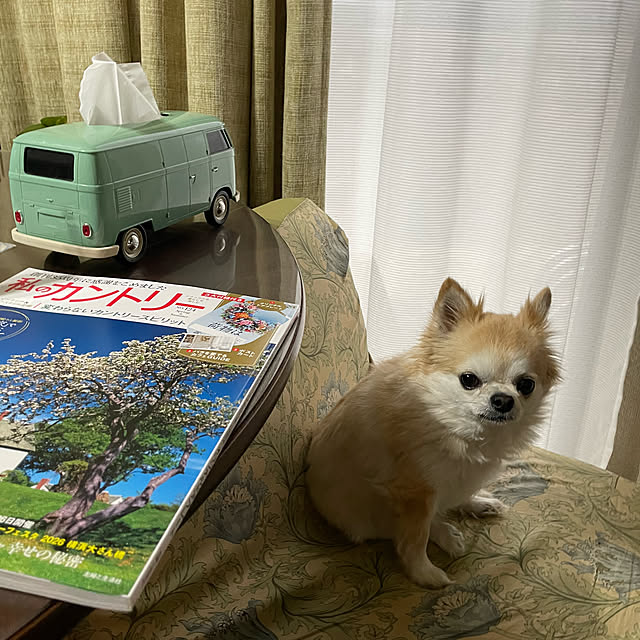 natsumiさんの実例写真