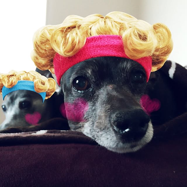 70さんの実例写真