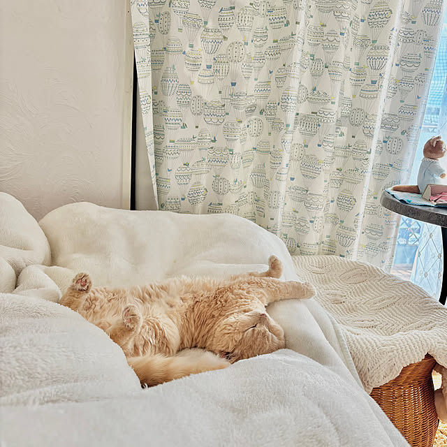 naokoさんの実例写真