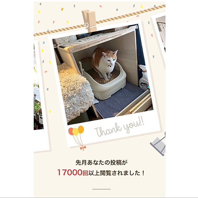 porinさんの実例写真