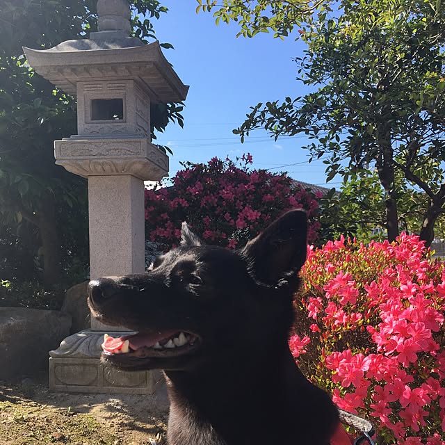 Y0206さんの実例写真