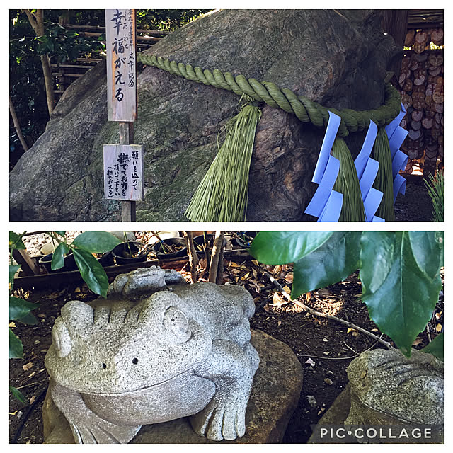 happy-sachiさんの実例写真
