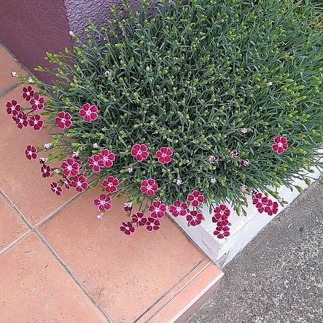 minnieさんの部屋