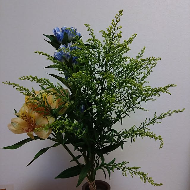 jkabmymycatさんの実例写真