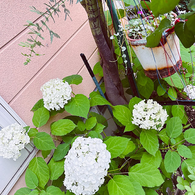 takakoさんの部屋