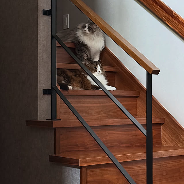 sakiさんの実例写真