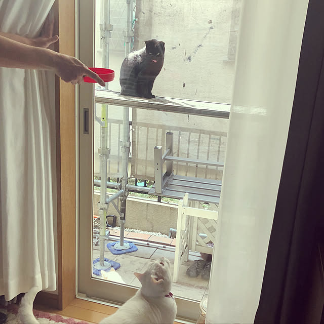 tekokaasanさんの実例写真