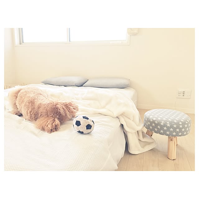 NODOKAさんの実例写真
