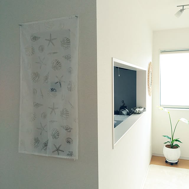 7shellさんの実例写真