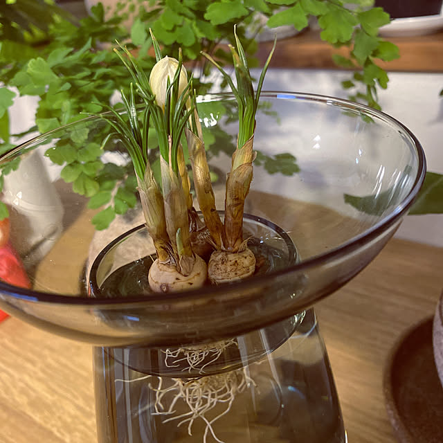 flower8823さんの実例写真