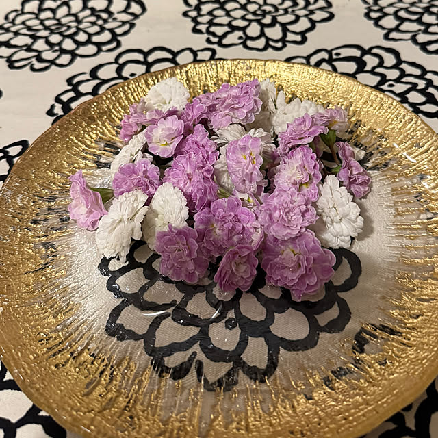 mamizaさんの部屋