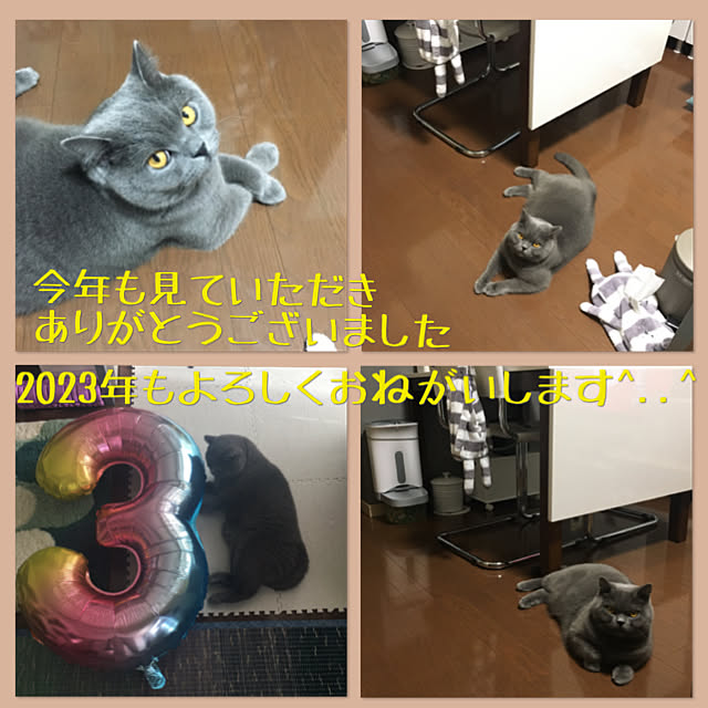 kittyさんの実例写真