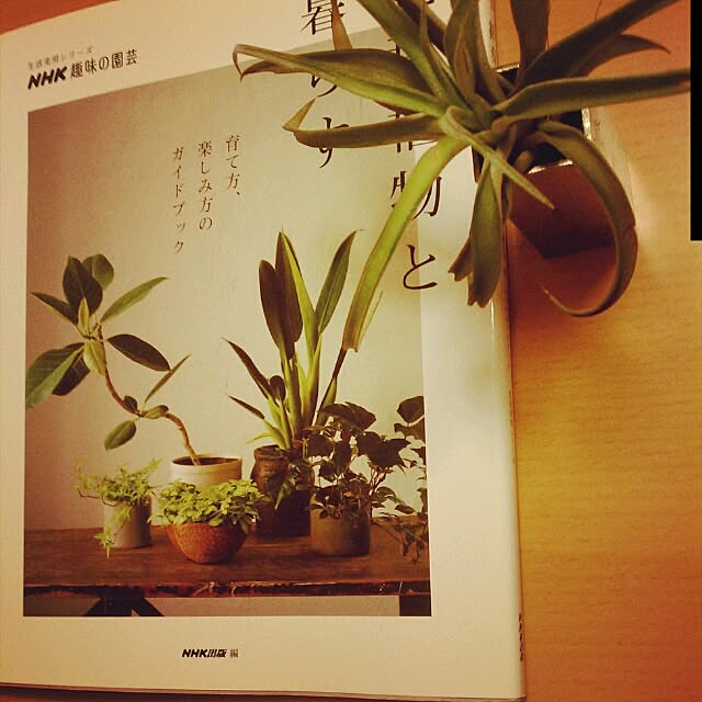 cao03さんの実例写真