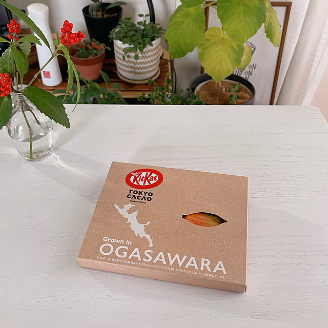 mikiteacupさんの部屋