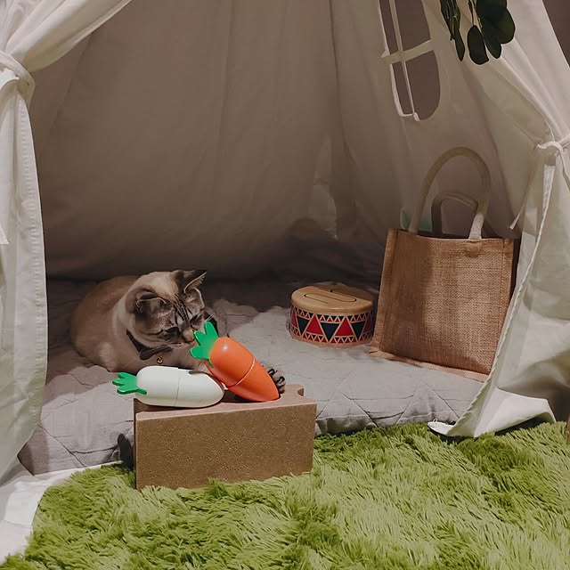Atelier_tamakiさんの部屋