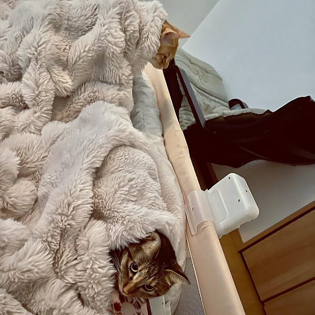 chiiさんの実例写真