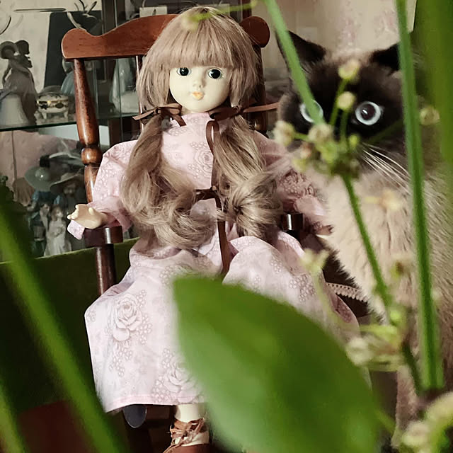 Nylさんの実例写真