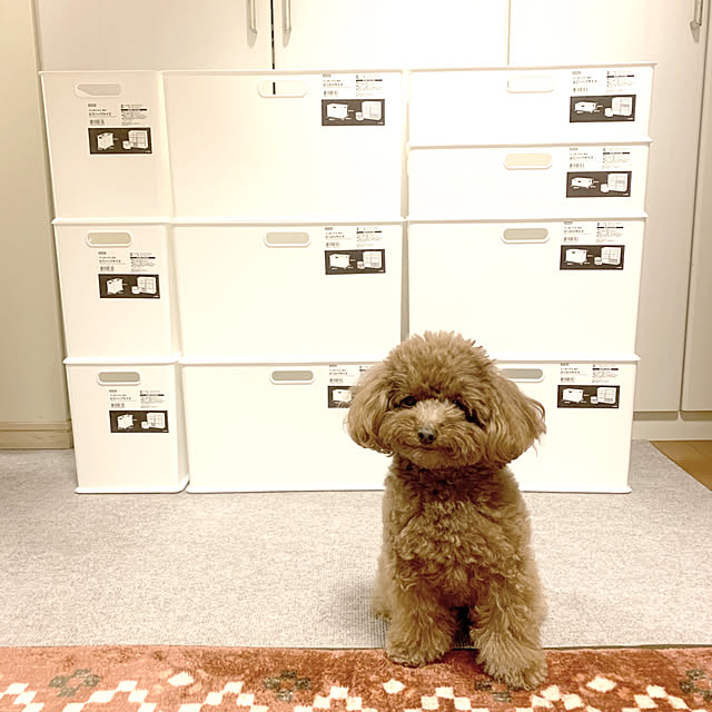 ISM.mumさんの実例写真