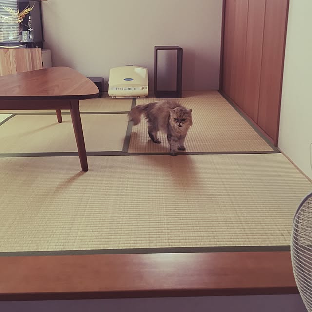 r-m.sさんの実例写真