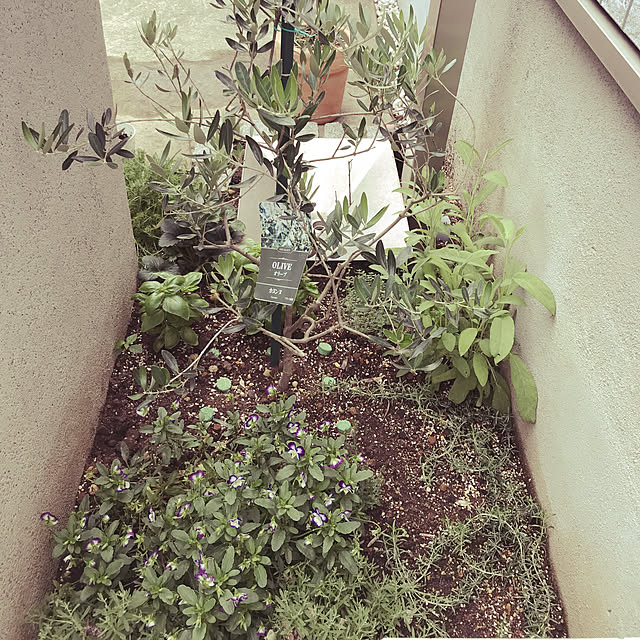 Takedasanさんの実例写真