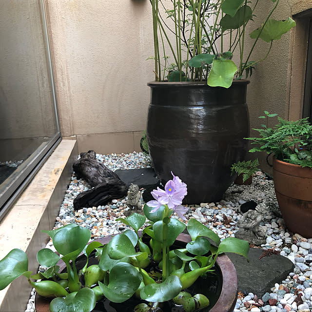 haruさんの実例写真