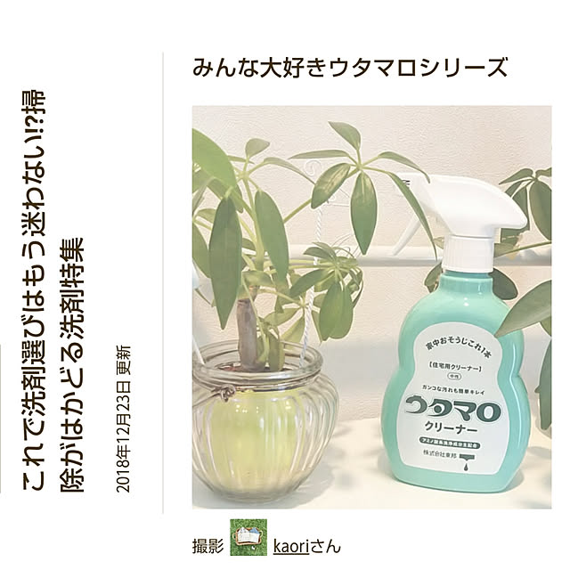 kaoriさんの実例写真