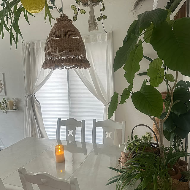 Megumiさんの実例写真