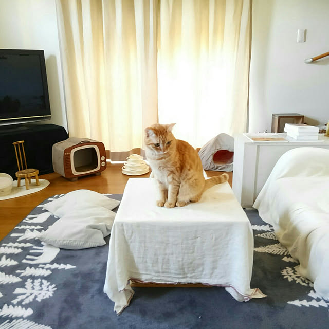 mayutan.さんの実例写真