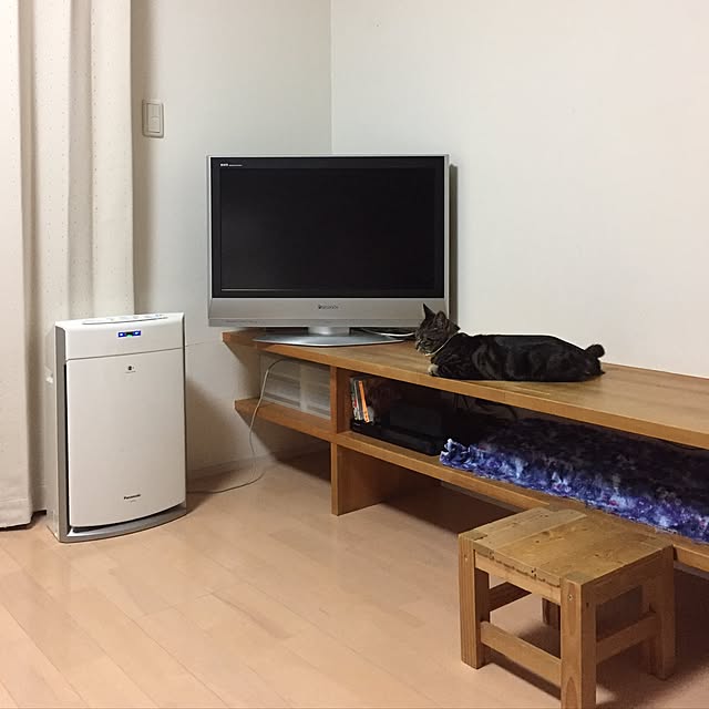 warucocoaさんの実例写真