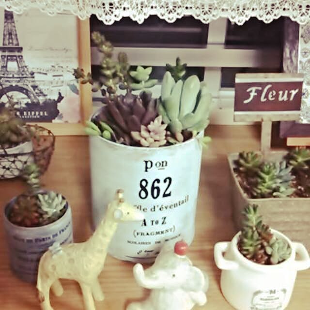 kumicocco311さんの実例写真