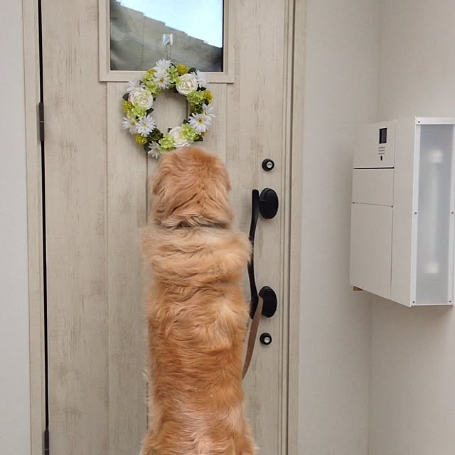 hamninさんの実例写真
