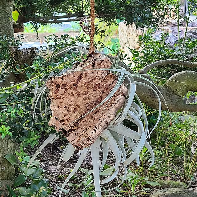 Rubiconさんの部屋