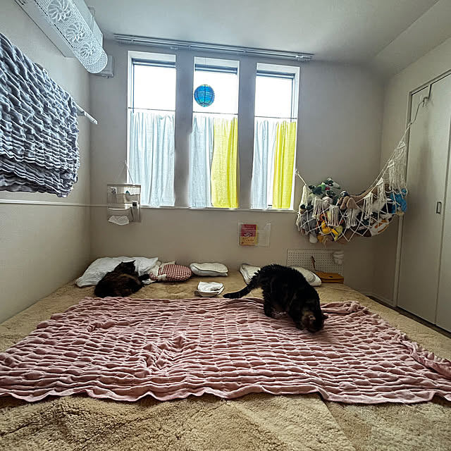 mikomaruさんの部屋