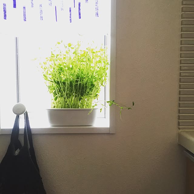 reonaさんの実例写真