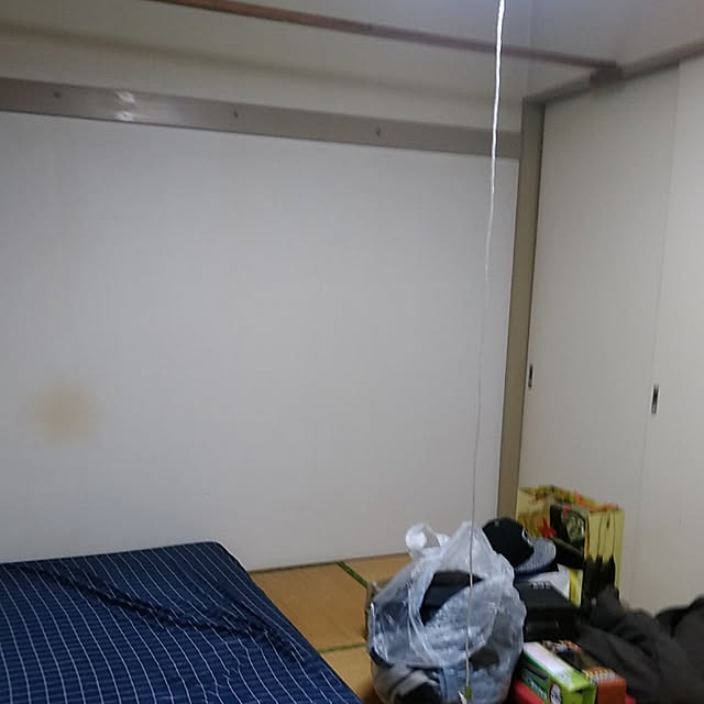 kobutaさんの実例写真