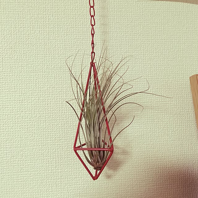 h31503150さんの実例写真