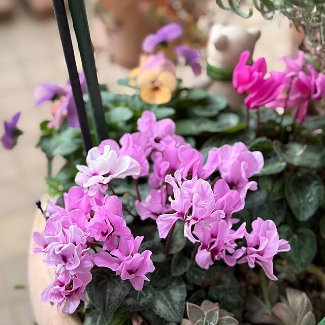 Aqettyさんの実例写真