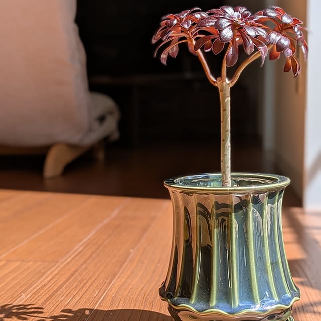 kumijiさんの実例写真