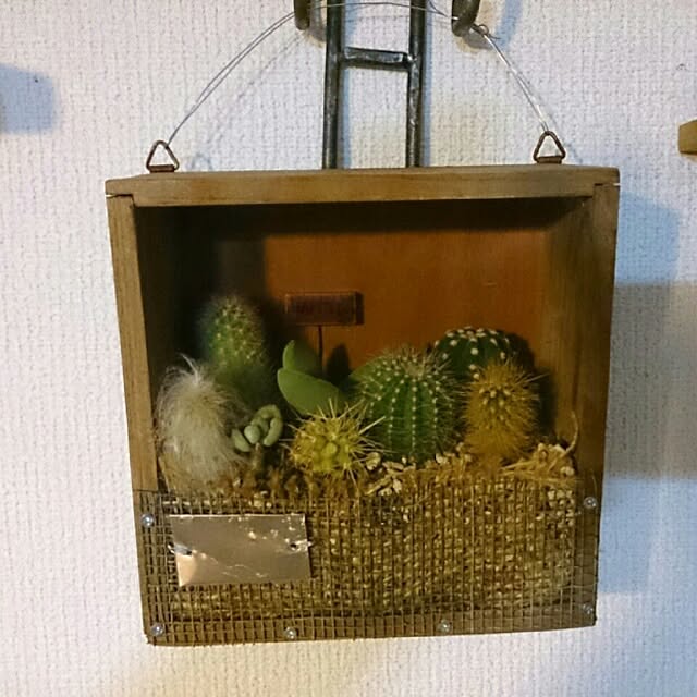 emi87さんの実例写真