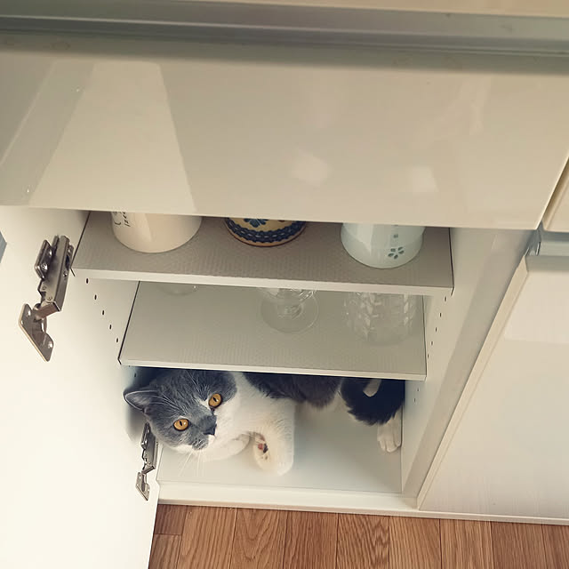 rhuさんの実例写真