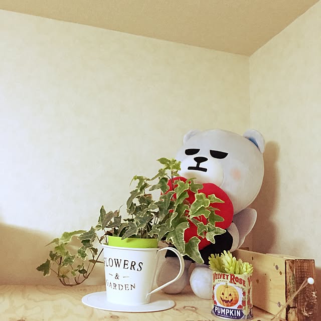 emiさんの実例写真
