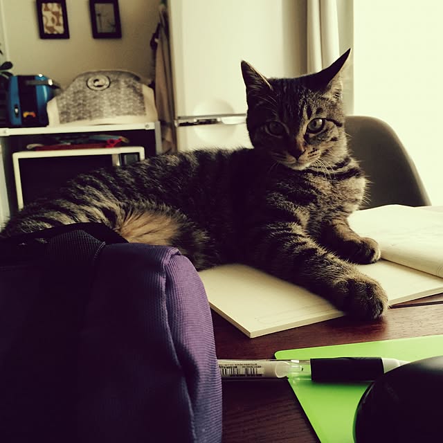 maruさんの実例写真