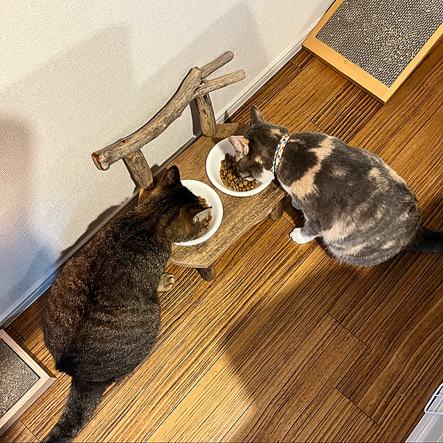 yoshibuさんの実例写真